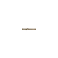 A small metallic cylindrical component with a threaded end, shown horizontally against a plain white background.