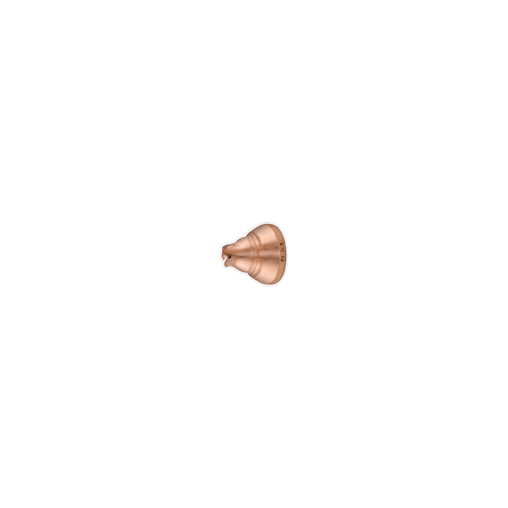 A small gold-colored metal accessory, possibly a decorative ring or clasp, shown against a solid white background.