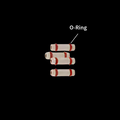 Bullet o-rings for plasma torch